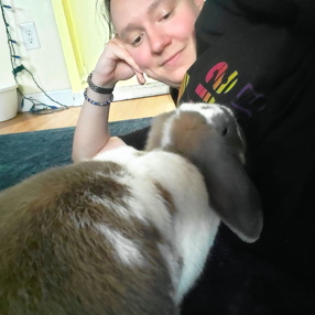 Holden, MA / Clinton, MA